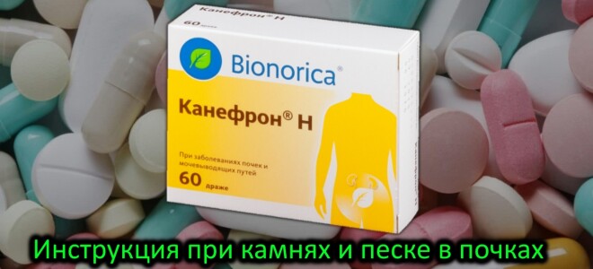 Таблетки для почек Канефрон: инструкция по применению. Достаточно ли вы знаете об этом лекарстве?