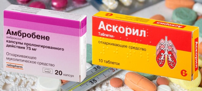 Аскорил или Амбробене – что лучше? Что нам ожидать от этих лекарств?